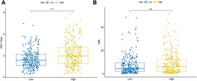 Construction and validation of an angiogenesis-related lncRNA prognostic model in lung adenocarcinoma